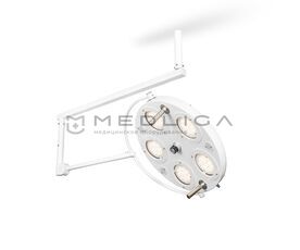 FotonFly 5М, Тип светильника (вариации): Потолочный 