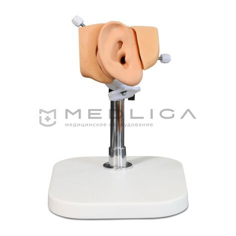 Тренажер по отиатрии, 6