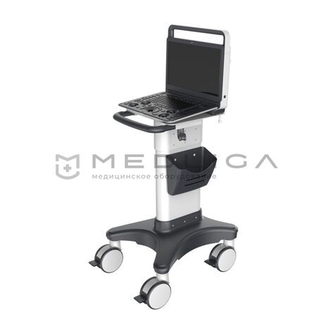 УЗИ аппарат SonoScape E2 Vet