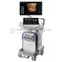 GE HealthCare Voluson Expert 22
